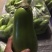 茄子5两以上