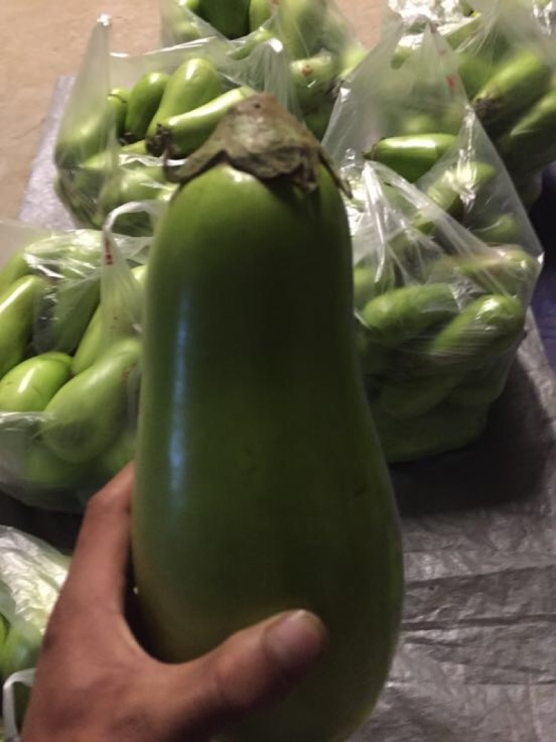 茄子5两以上