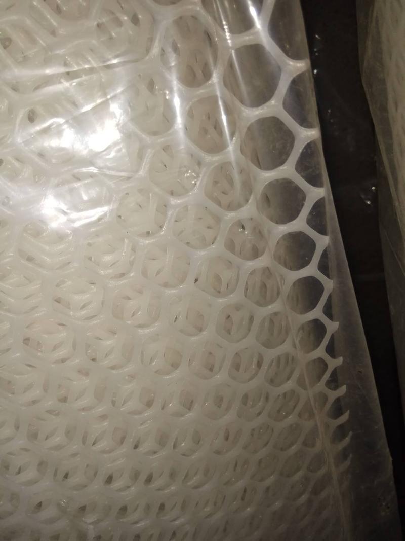全新纯料育雏网塑料养殖网漏粪网，厂家直销