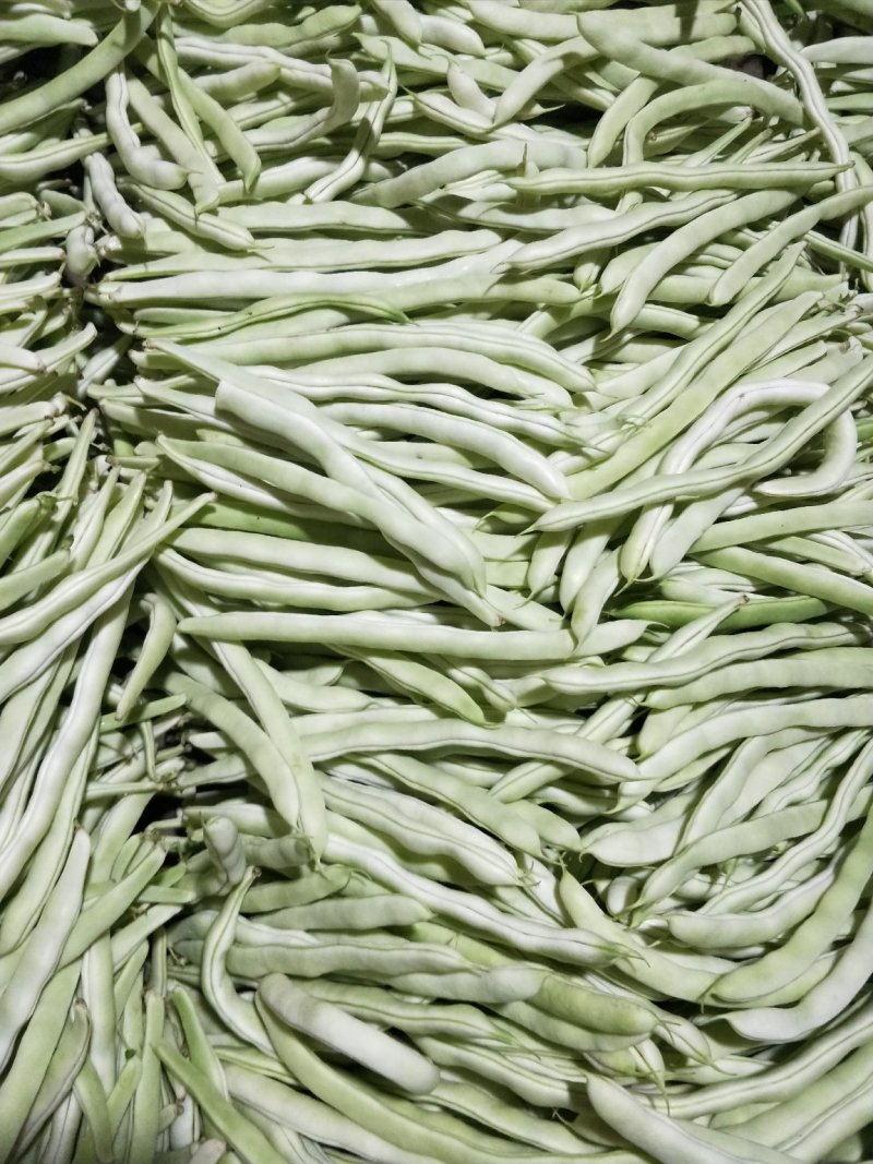 白豆角