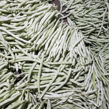 白豆角
