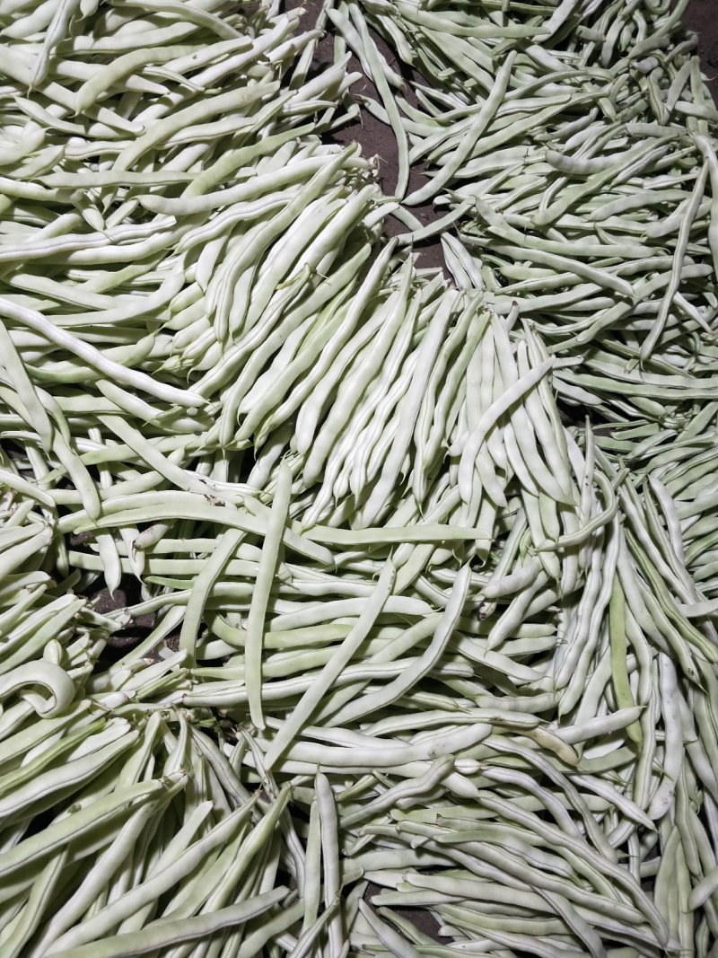 白豆角