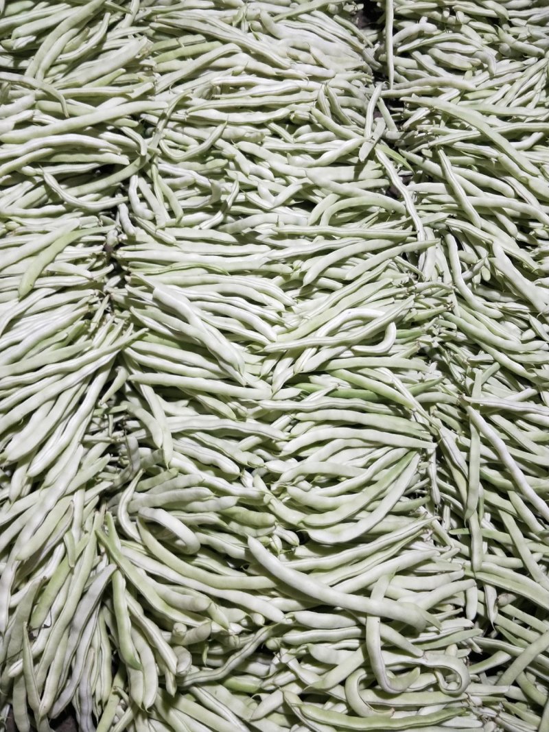 白豆角