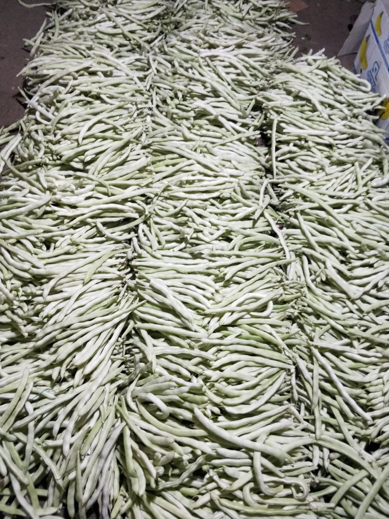 白豆角