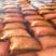 丹东板栗炒栗种大标皮薄肉厚香甜糯日供应10万斤以上