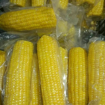 水果玉米