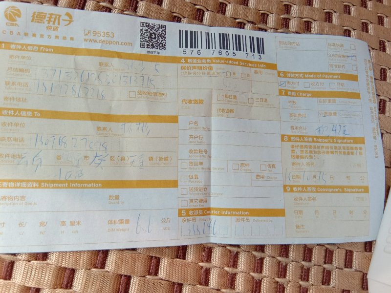 美国蛇李子苗，三年苗，，
