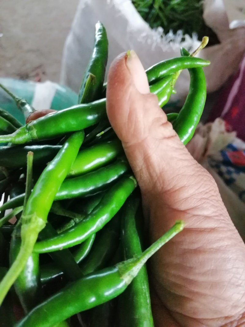 青米椒