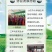 五常新大米10斤