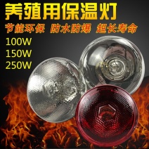 保温灯供应保温灯养殖灯泡加厚防水防爆红外线养殖取暖灯