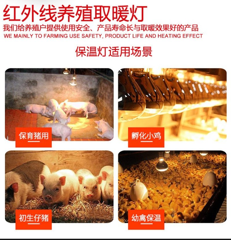 保温灯供应保温灯养殖灯泡加厚防水防爆红外线养殖取暖灯