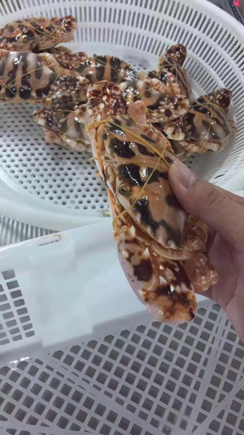 冰鲜鱿鱼，螃蟹