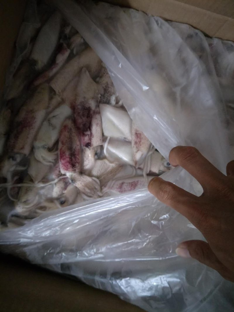 北海冰鲜产品，