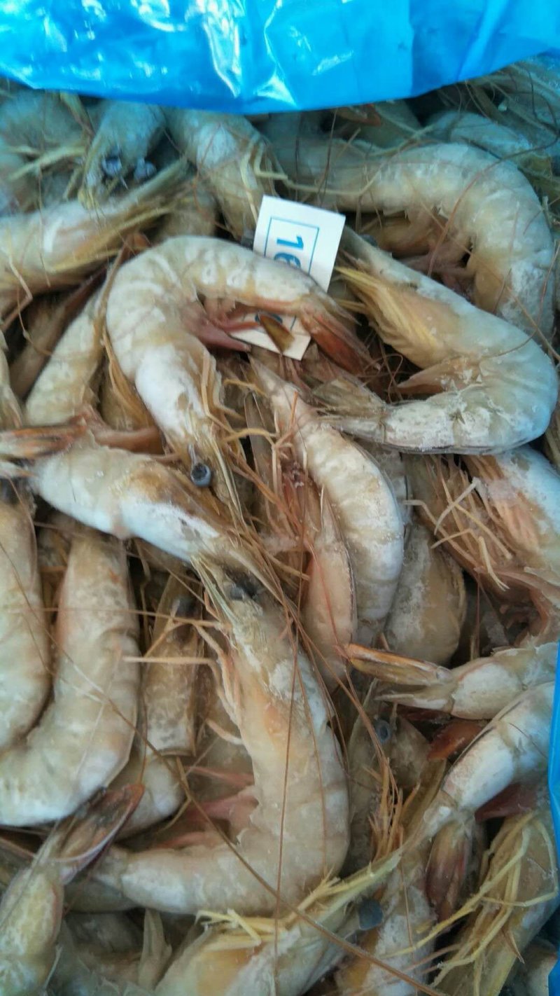 北海冰鲜产品，