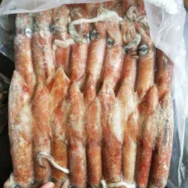北海冰鲜产品，