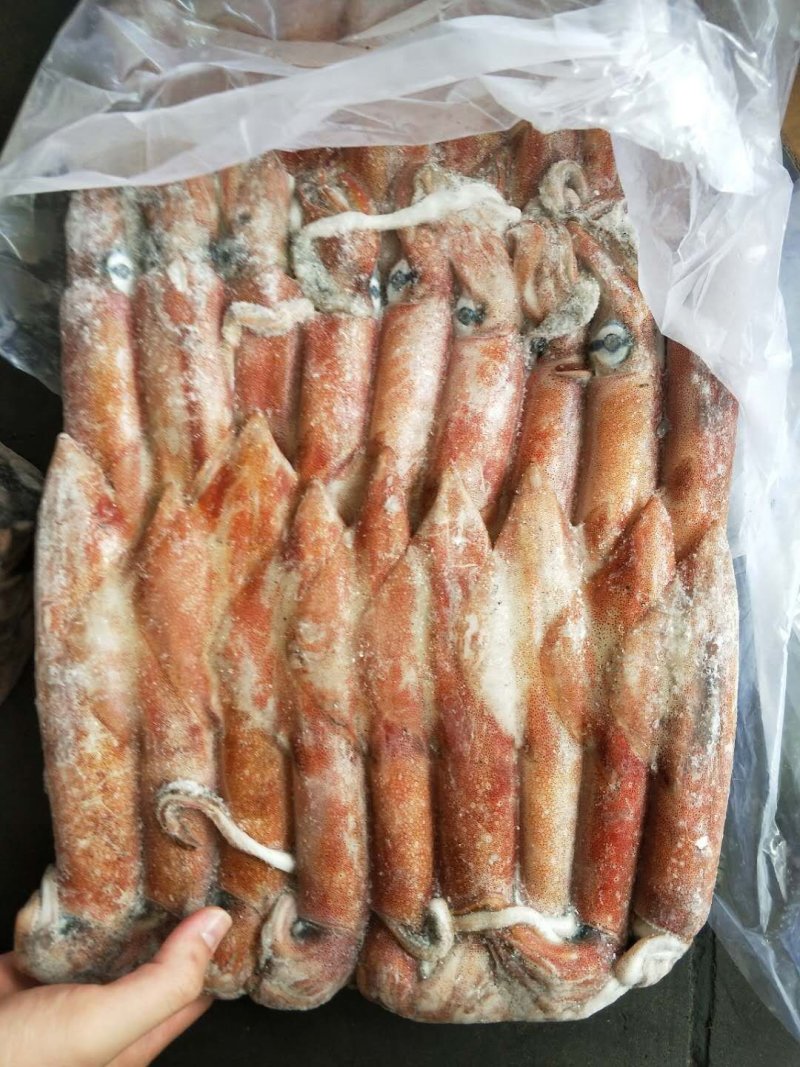 北海冰鲜产品，