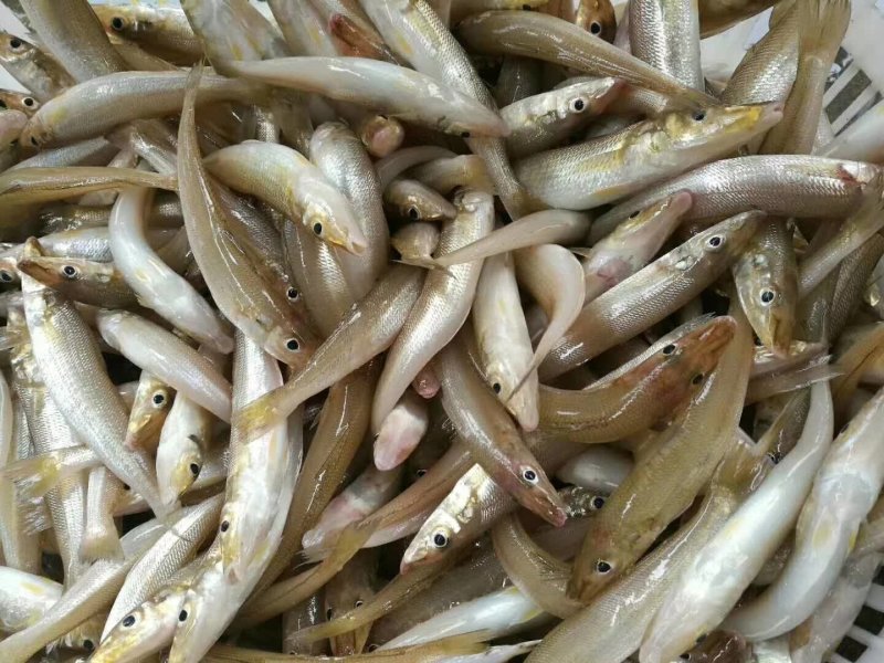 北海冰鲜产品，