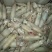北海冰鲜产品，