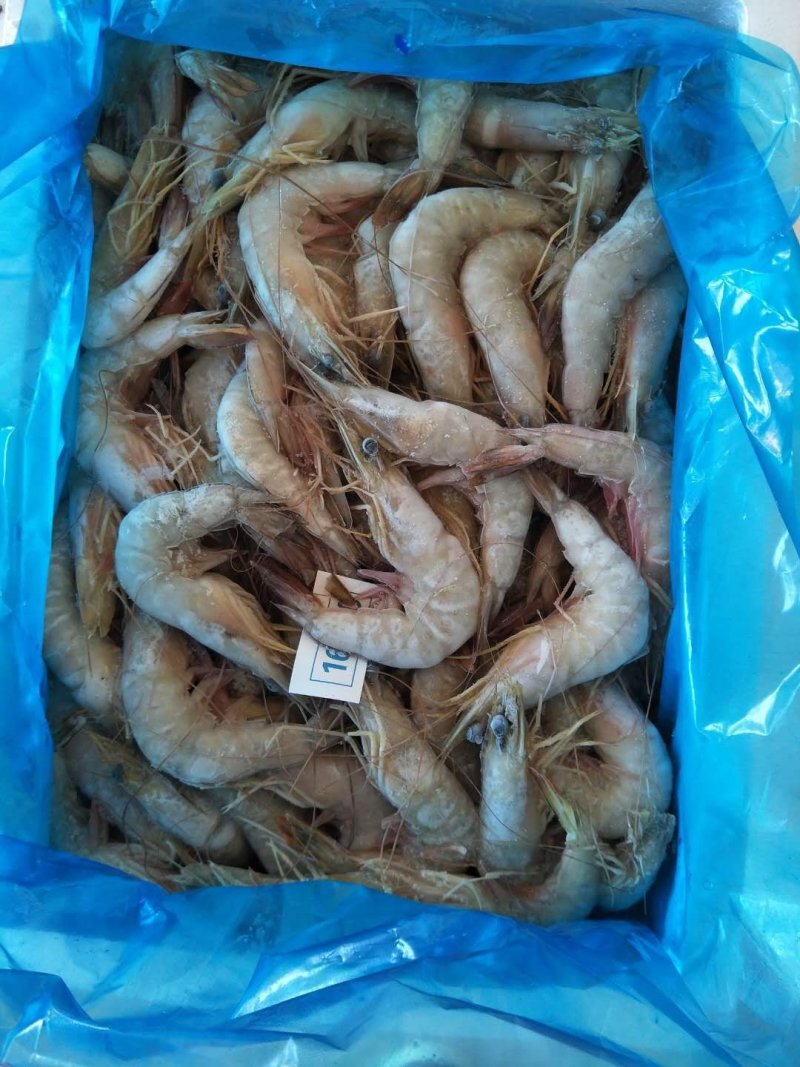 北海冰鲜产品，