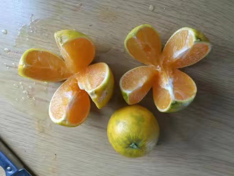 红江橙