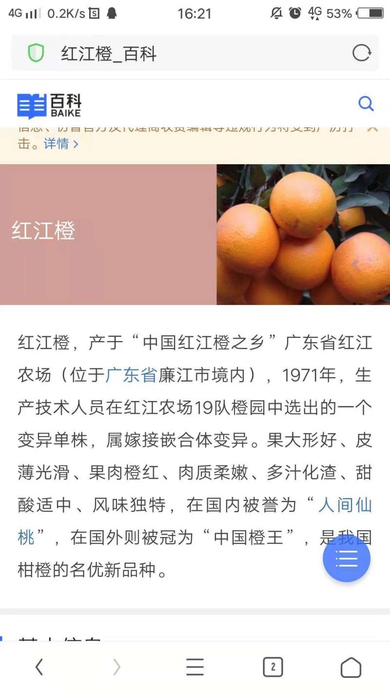 红江橙