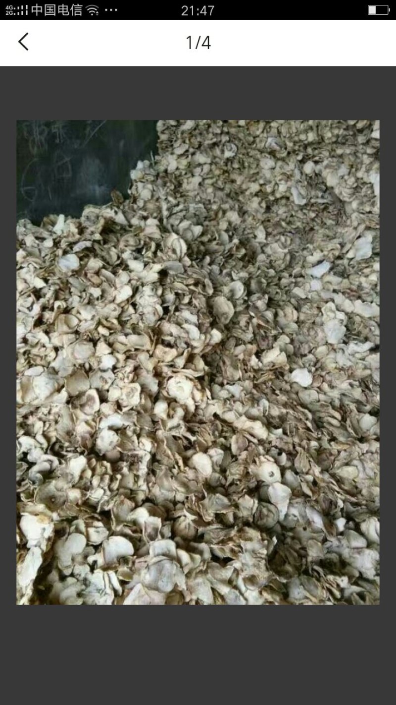 魔芋干