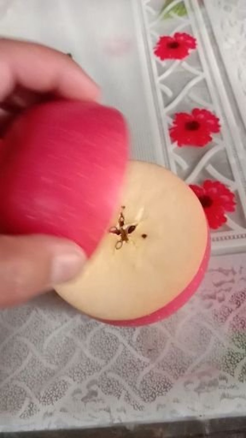 库存红富士苹果批发价格行情大量库存红富士苹果批发基地