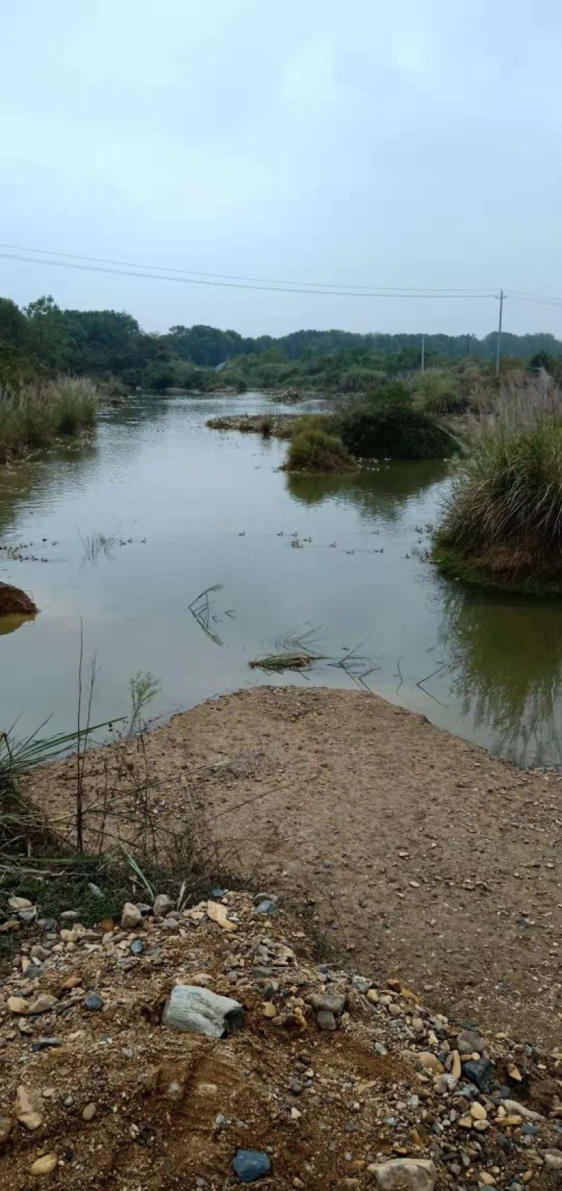 水库