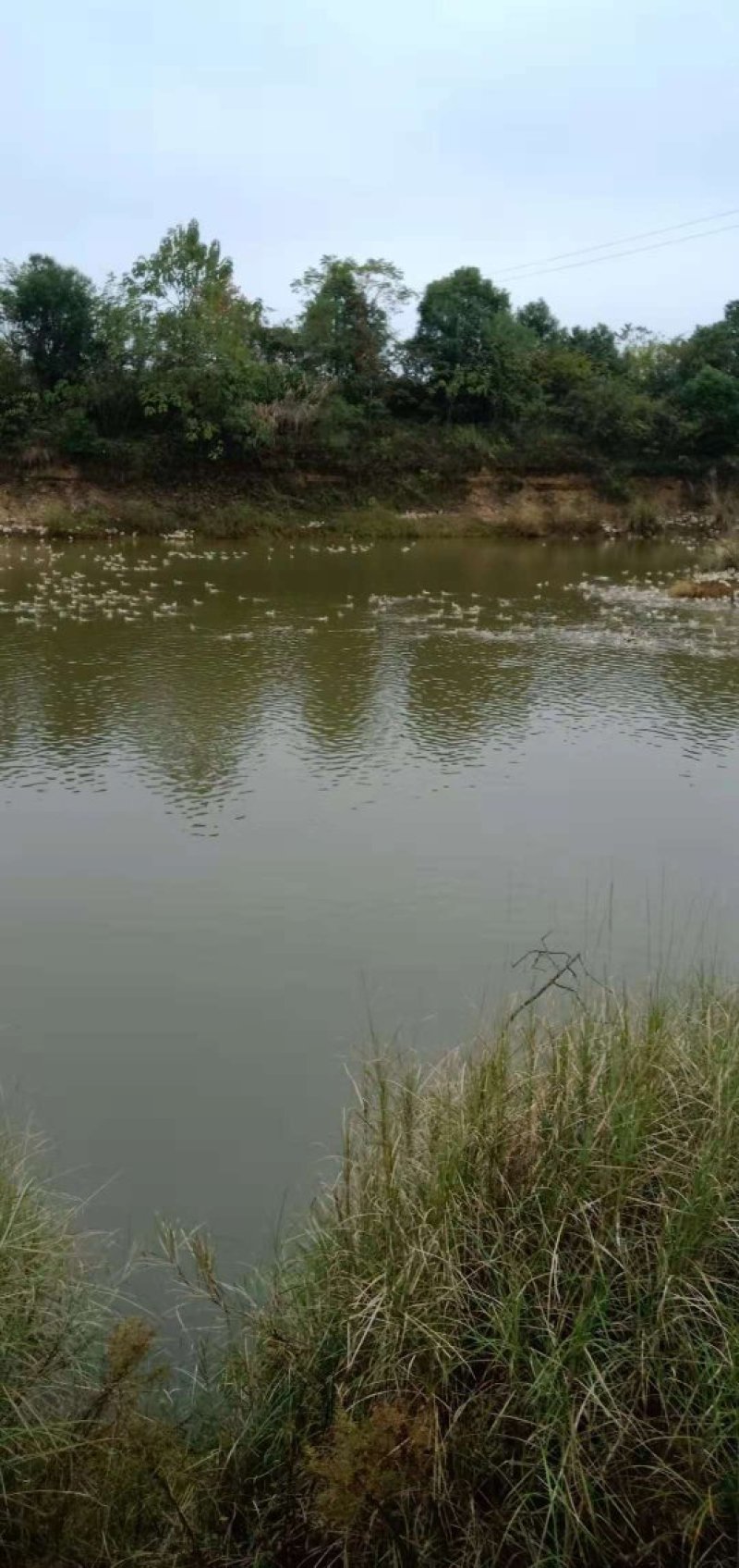 水库