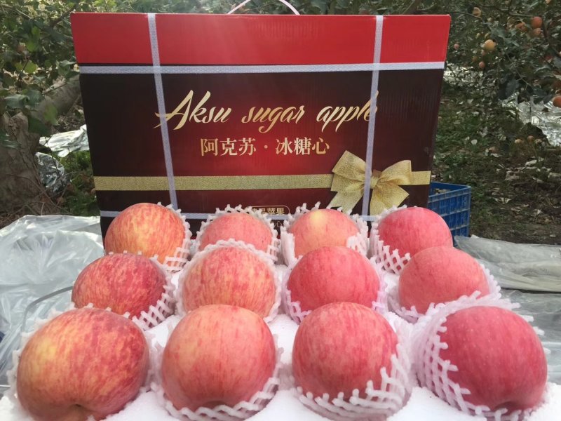新疆阿克苏糖心苹果大量上市欢迎订购量大从优皮薄无渣酸甜可口