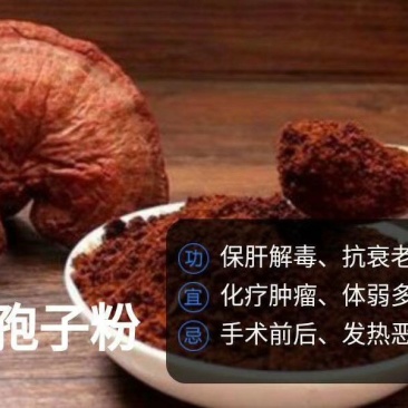 灵芝孢子粉