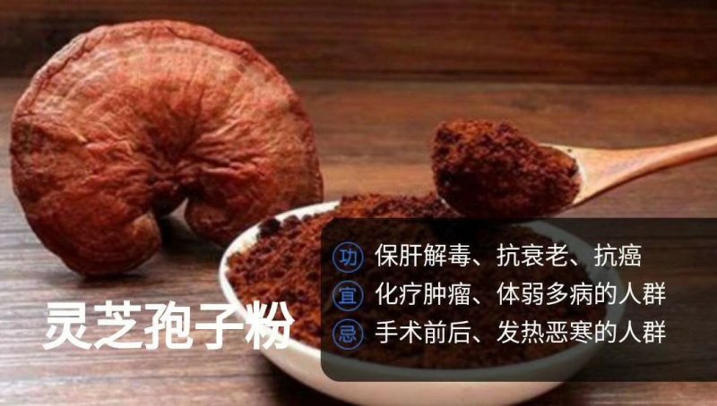 灵芝孢子粉