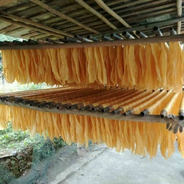 腐竹