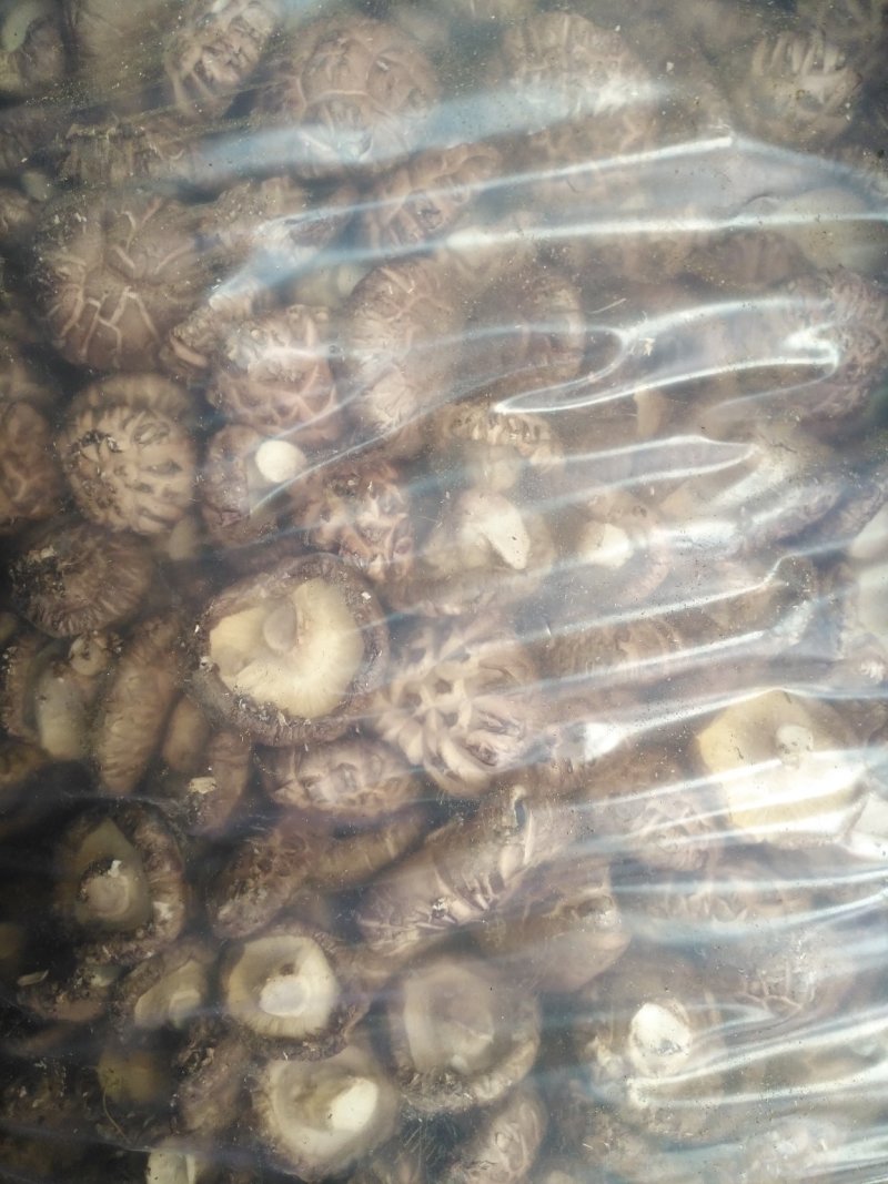 花菇，漂亮的不要不要的，