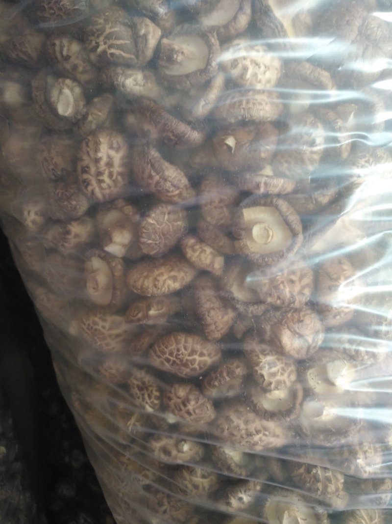 花菇，漂亮的不要不要的，
