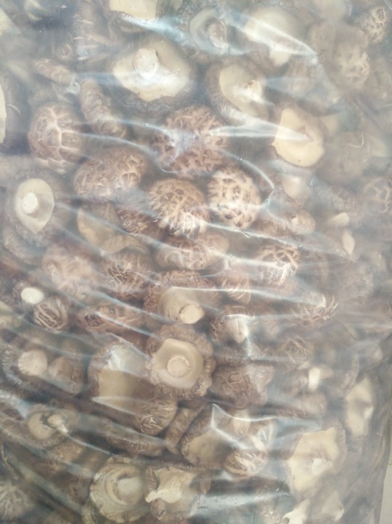花菇，漂亮的不要不要的，