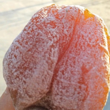 柿饼