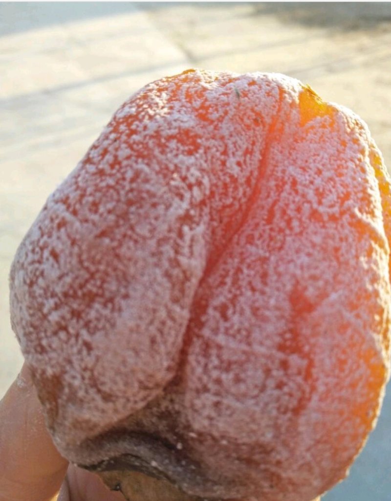 柿饼