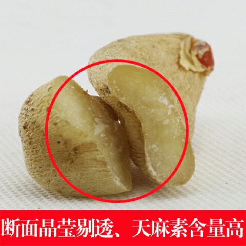 野生天麻