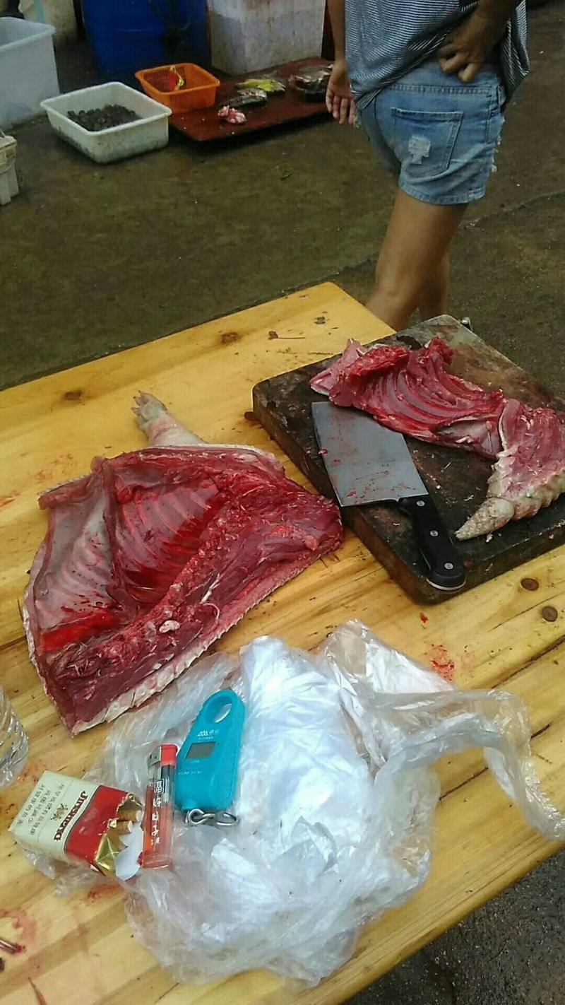 豪猪鲜肉动物人参高蛋白低脂肪5斤顺丰包邮