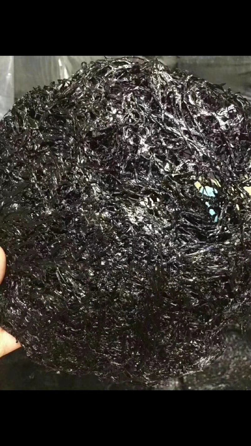霞浦头水紫菜！
