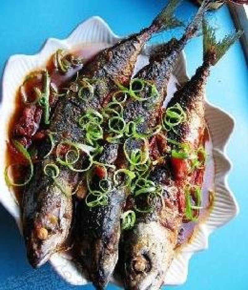 马鲛鱼鲅鱼