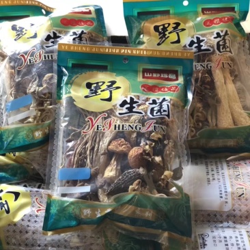 野生菌！
