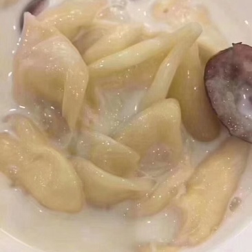 各种鱼胶