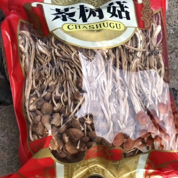 古田茶树菇