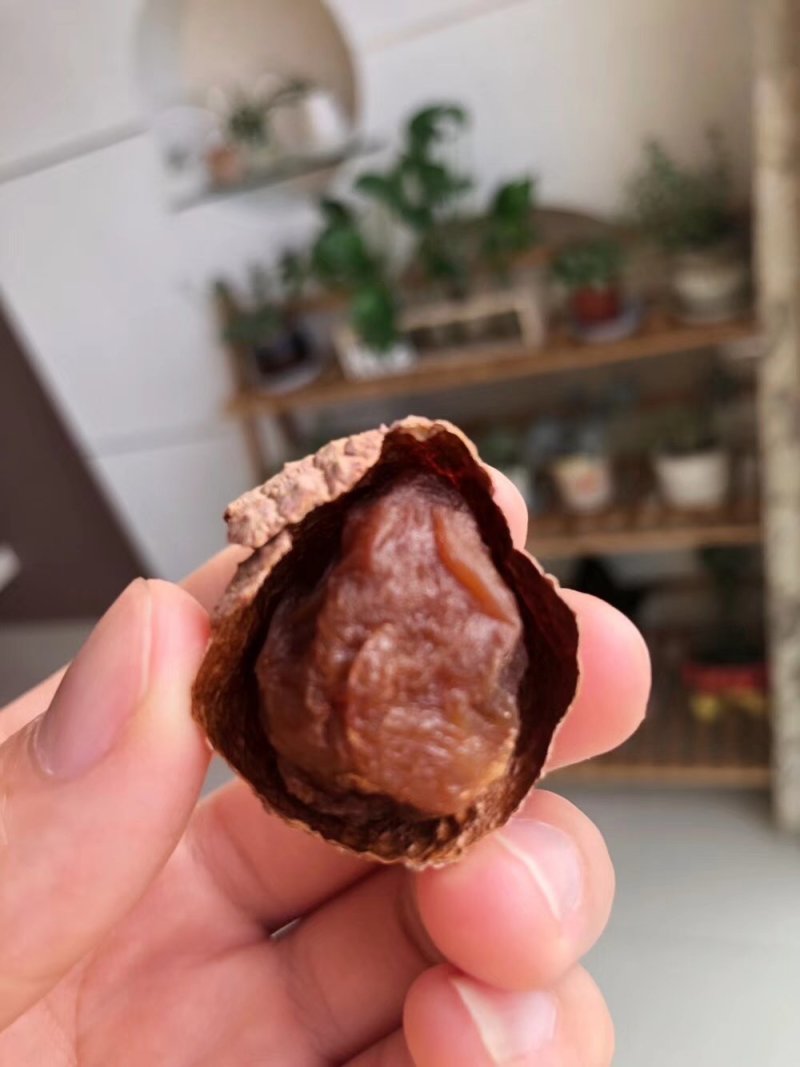 荔枝干