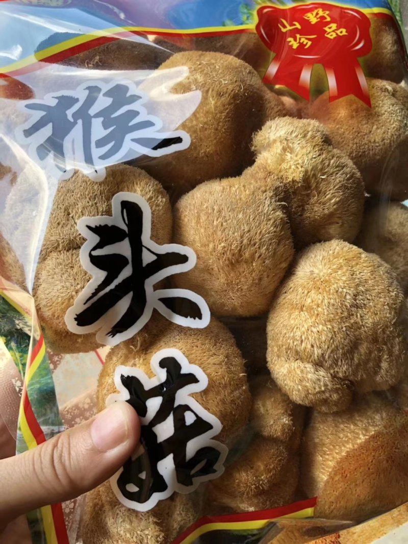 猴头菇