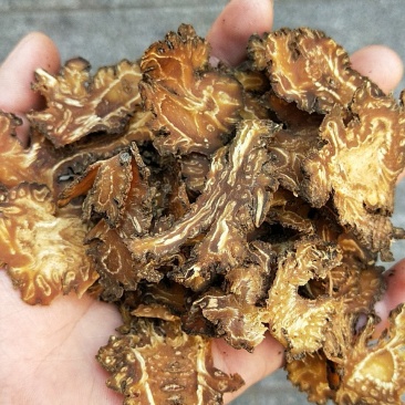 提到川穹大家可能都不一定熟悉，但是看到中药很多的止疼药