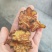 提到川穹大家可能都不一定熟悉，但是看到中药很多的止疼药