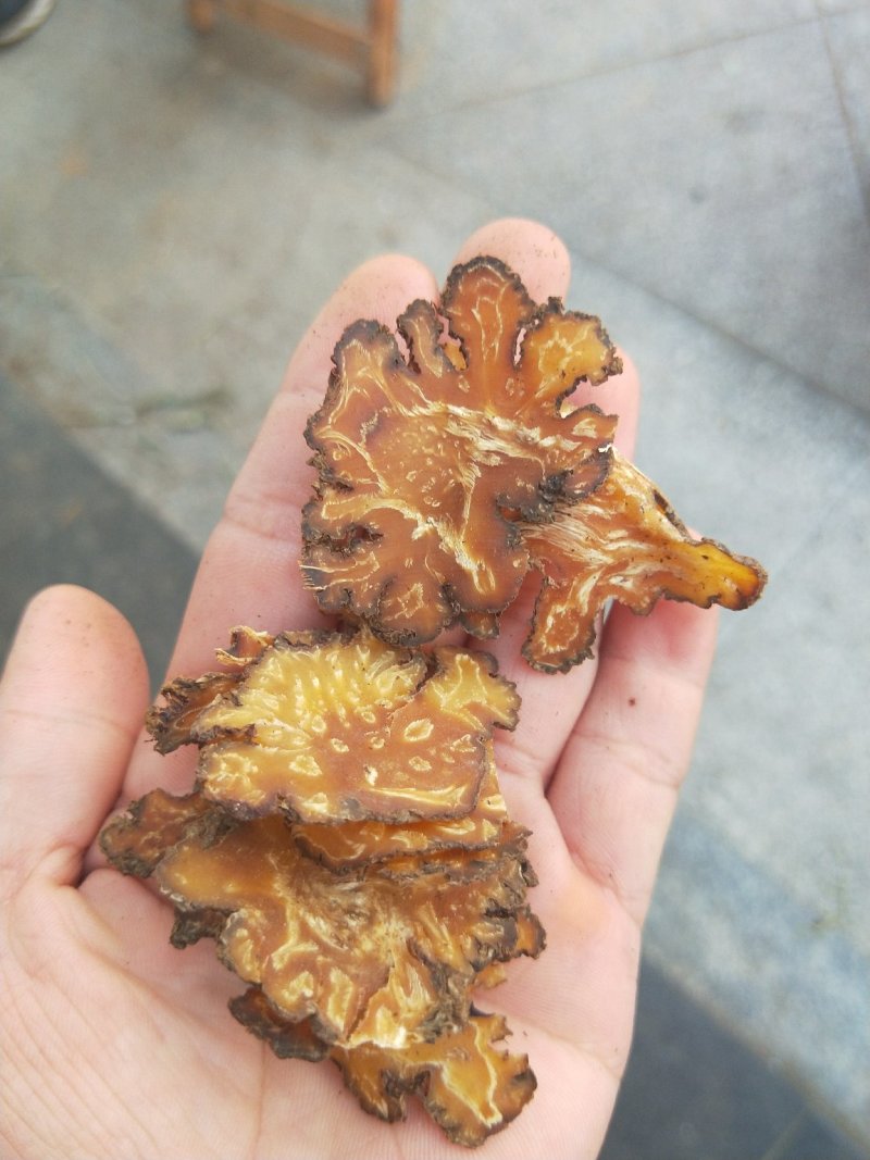 提到川穹大家可能都不一定熟悉，但是看到中药很多的止疼药